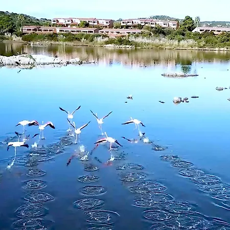 Διαμέρισμα Ampio Monolocale Porto Coda Cavallo *